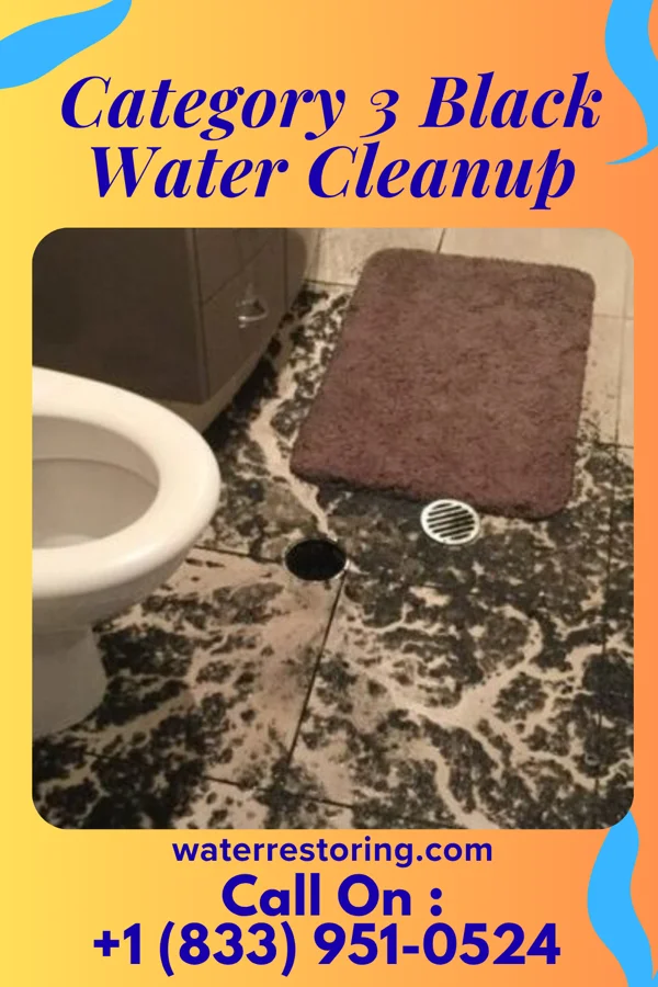 Category 3 Black Water Cleanup in Tomahawk, WI