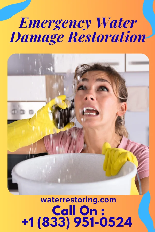 Emergency Water Damage Restoration in Tomahawk, WI