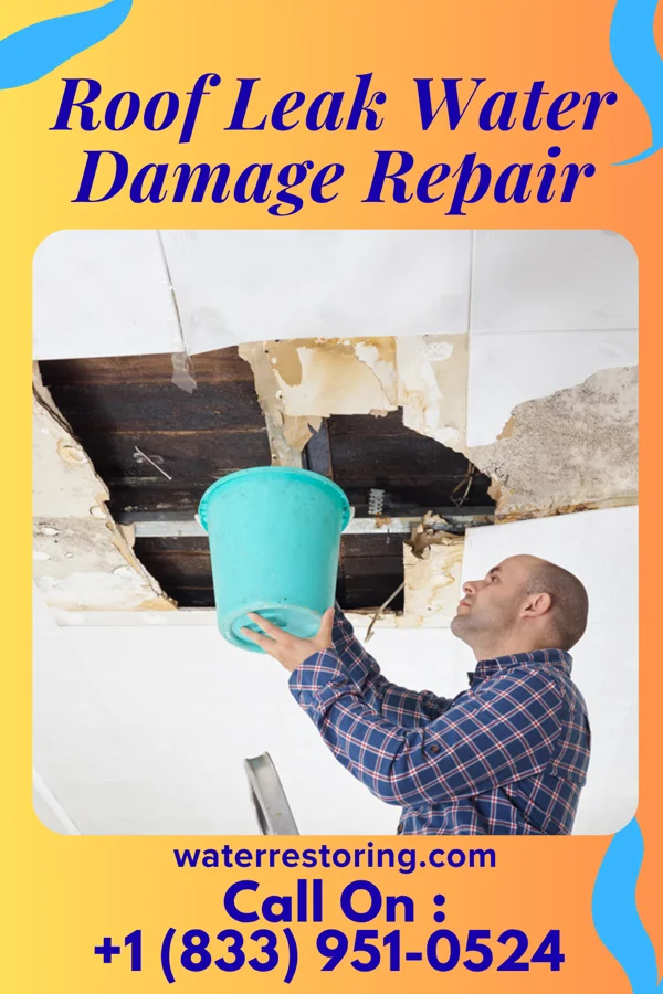 Roof Leak Water Damage Repair in Tomahawk, WI